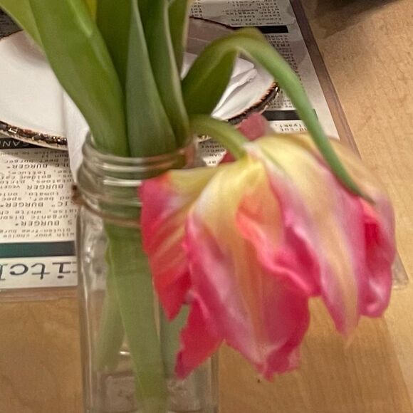 Stop and Smell the Flowers 🌷 - Picture 5 of 6